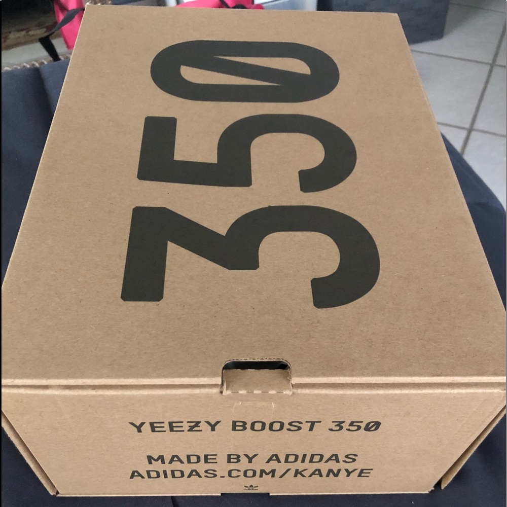 Yeezy 350 v2